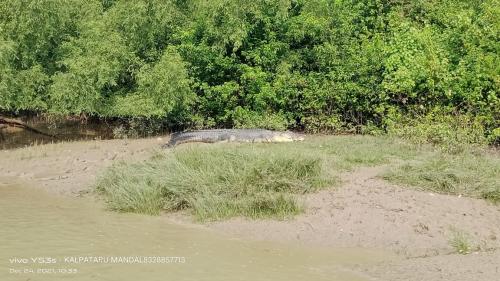 22 bhitarkanika national park tour