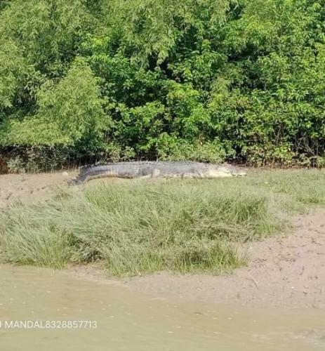 22 bhitarkanika national park tour