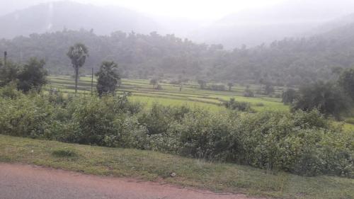 25 Visit Daringbadi