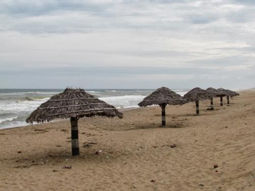8 Puri beach tour Odisha (2)