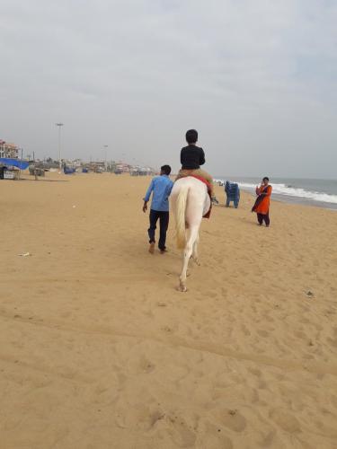 HORSE RIDE ON PURI BEACH