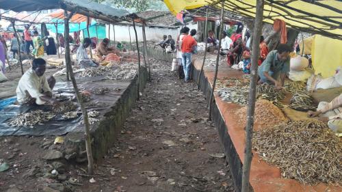 KUNDULI TRIBAL FISH MARKET