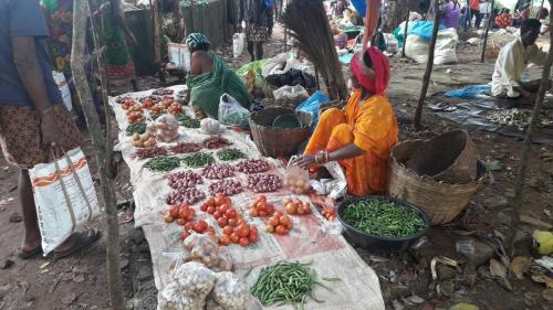 KUNDULI TRIBAL VEGETABLE MARKET