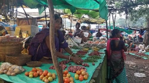 KUNDULI WEEKLY PAROJA TRIBAL MARKET