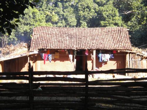 TRIBAL MUD HOUSE
