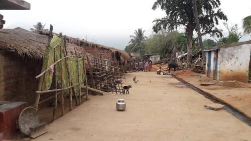 TRIBAL VILLAGE STREET1