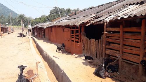 TRIBAL VILLAGE WITH VIEW OF HILL
